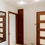 Rent 2 bedroom apartment of 50 m² in Łódź