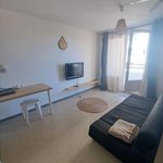 Rent 1 bedroom apartment of 28 m² in Sainte