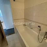 Rent 3 bedroom apartment of 100 m² in Capital City of Prague