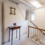 Cottage to rent in Southover High Street, Lewes BN7