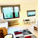 Rent 1 bedroom apartment of 30 m² in Düsseldorf