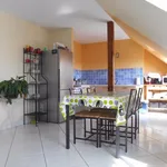 Rent 1 bedroom apartment of 50 m² in BENFELD