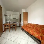 Rent 1 bedroom apartment of 30 m² in Forlì