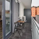 Rent 1 bedroom apartment of 33 m² in Brno