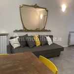 Rent 2 bedroom apartment of 50 m² in Turin