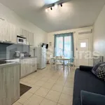 Rent 1 bedroom apartment of 40 m² in Municipal Unit of Nafplio