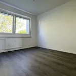 Miete 2 Schlafzimmer wohnung von 55 m² in Helbersdorf