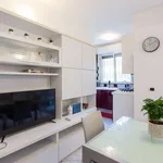 Rent 1 bedroom apartment in milan