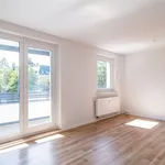 Rent 3 bedroom apartment of 58 m² in Chemnitz