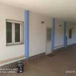 Rent 1 bedroom house of 92 m² in Niscemi