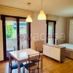 Rent 1 bedroom apartment of 45 m² in Ponte San Pietro