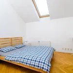 Rent 1 bedroom apartment in Prague