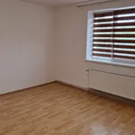 Rent 1 bedroom apartment in Liberec