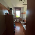1-bedroom flat via Cristoforo Colombo 4/15, Caselle Torinese