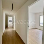 Rent 2 bedroom apartment of 60 m² in Padova