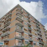 Rent 3 bedroom apartment of 80 m² in Rome