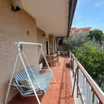 Rent 2 bedroom apartment of 55 m² in Ladispoli