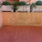 Rent 2 bedroom apartment of 40 m² in Numana