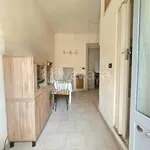 Rent 2 bedroom apartment of 45 m² in Torino