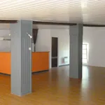 Appartement de 95 m² avec 1 chambre(s) en location à Villefranche-de-Lauragais