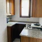 Rent 2 bedroom apartment of 70 m² in Milano