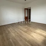 Rent 2 bedroom apartment in Opava