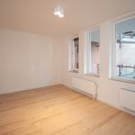 Rent 2 bedroom apartment of 95 m² in Den Haag