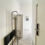 Rent 1 bedroom apartment in Brno