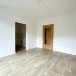 Rent 1 bedroom apartment of 36 m² in Chemnitz