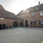 Rent 1 bedroom apartment in Hannut