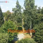 Rent 2 bedroom apartment of 38 m² in Trhový Štěpánov