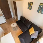 Rent 1 bedroom apartment of 13 m² in Nasyp