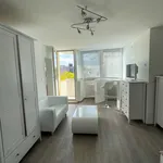 Rent 2 bedroom apartment of 28 m² in Munich