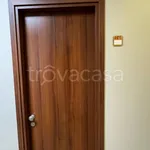 Rent 1 bedroom apartment of 20 m² in Torino