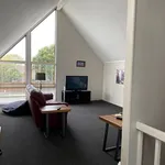 Rent 2 bedroom house in Palmerston North