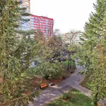 Rent 2 bedroom apartment of 40 m² in Kolín