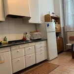 Rent 2 bedroom apartment of 55 m² in milan