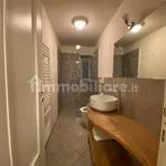 Rent 2 bedroom apartment of 46 m² in Roccaforte Mondovì