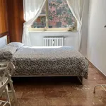 Rent 4 bedroom apartment in Turin