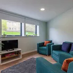 Rent 1 bedroom apartment in Bangor