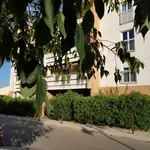 Rent 4 bedroom apartment of 80 m² in MARIGNANE