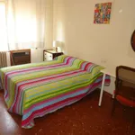 Rent a room in cordoba