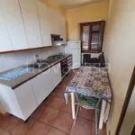 Rent 2 bedroom apartment of 30 m² in Vercelli