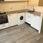 Rent 3 bedroom apartment of 60 m² in Laanhuizen