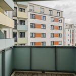 Rent 1 bedroom apartment of 30 m² in Bonn