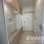 Pronajměte si 1 ložnic/e byt o rozloze 30 m² v Pilsen