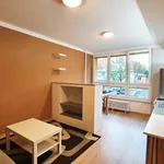 apartment at Frýdek-Místek, Místek ,Czech Republic