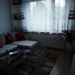 Rent 1 bedroom apartment in Chomutov