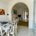 Rent 2 bedroom apartment of 40 m² in Rosignano Marittimo