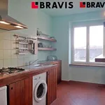 Rent 1 bedroom apartment of 49 m² in Brno